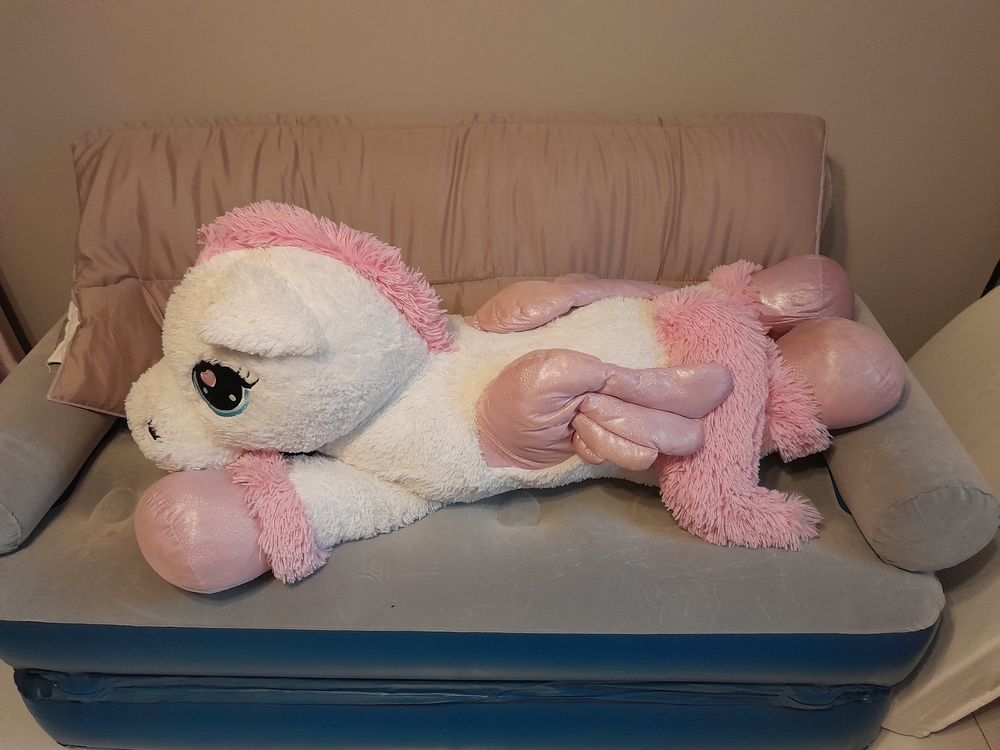 Peluche 10 Cubzac-les-Ponts (33)