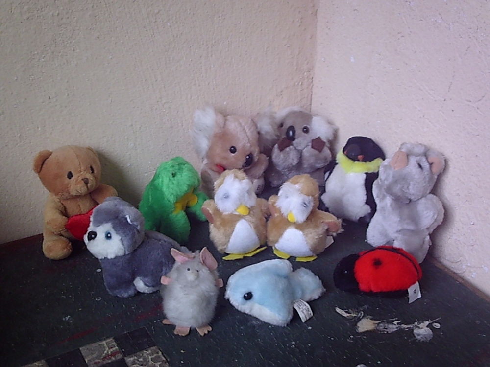 Peluches diff�rents genre et mod�les � petits prix 1 Bouxwiller (67)