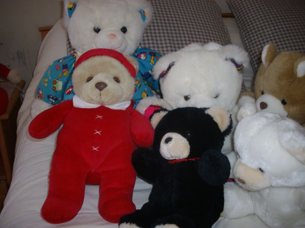 peluches diverses 3 Dijon (21)