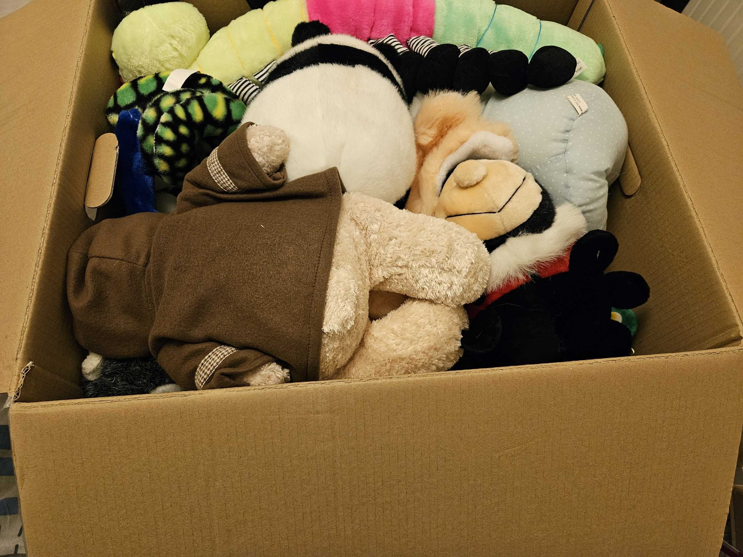 Peluches neuves 6 Quarouble (59)