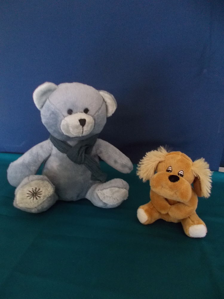 2 PELUCHES ourson et chiot 7 Chartres (28)