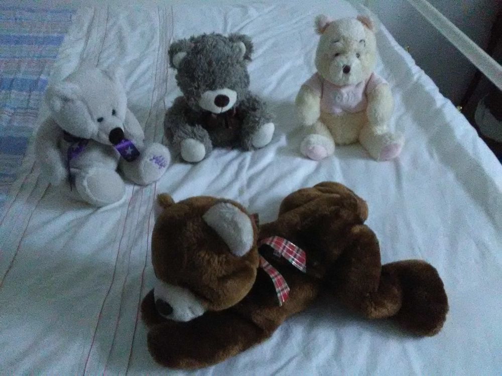  Peluches  Ourson  (4) / � l'unit� 3 Taillades (84)