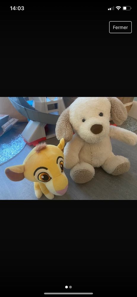 lot de 2 peluches et une voiture 5 Nantes (44)