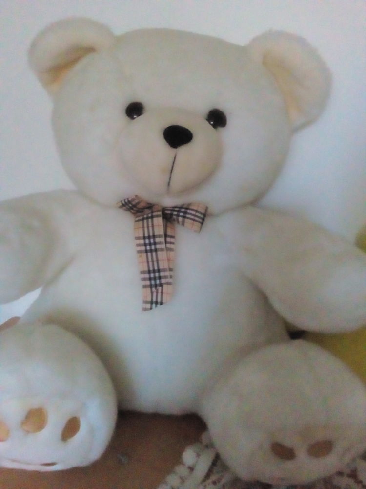 Peluches 2 Crisolles (60)