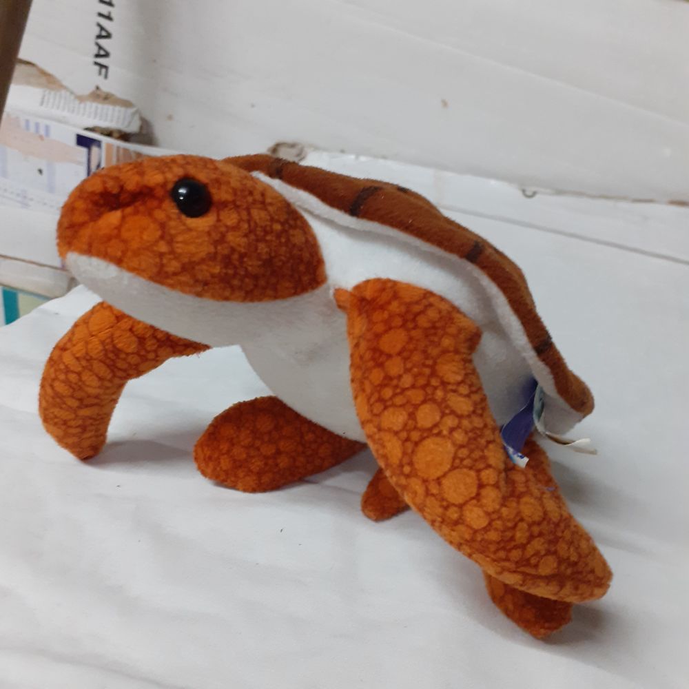 Peluches 12 Limoges (87)