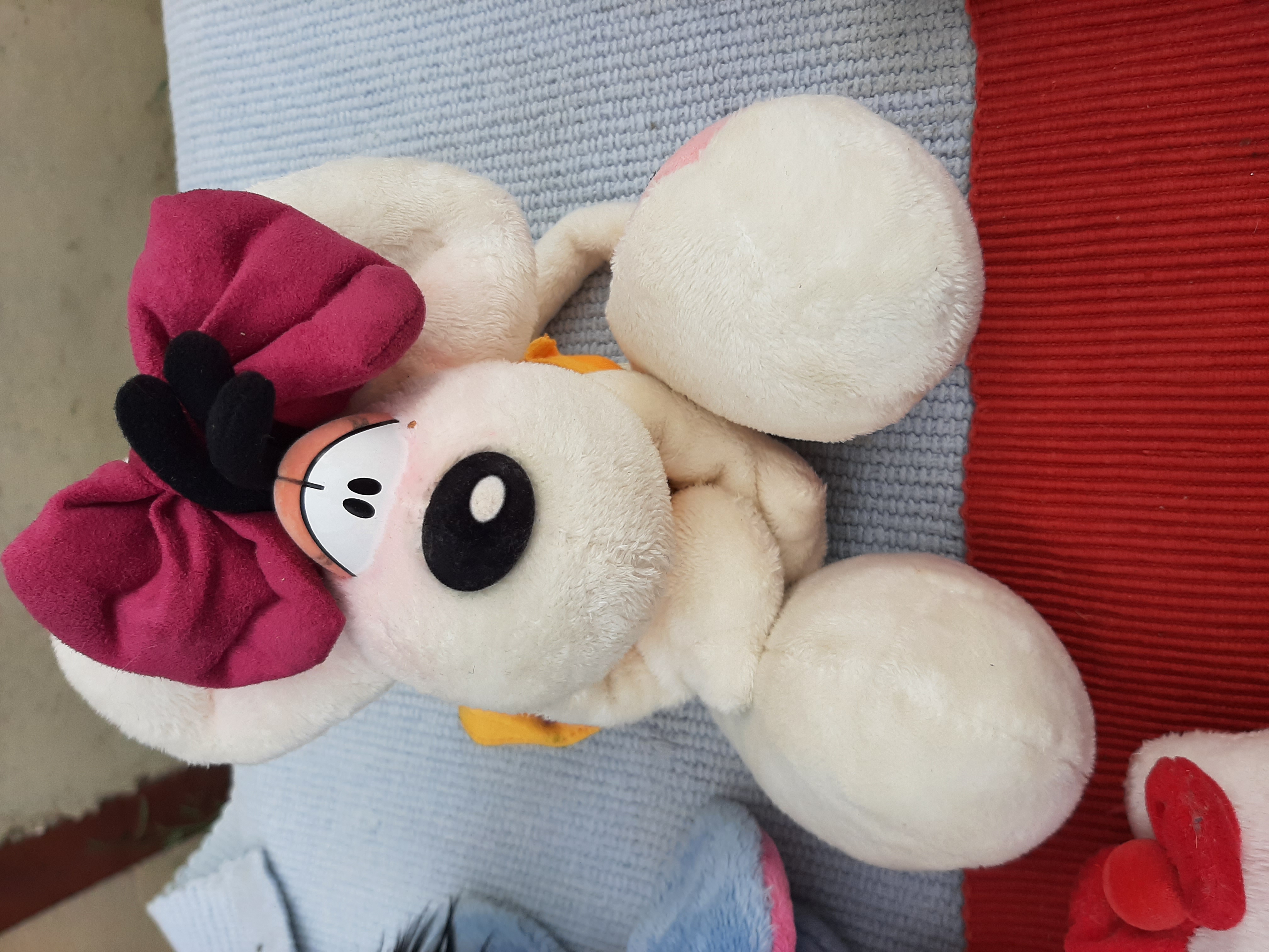 Peluches 10 Beaumes-de-Venise (84)