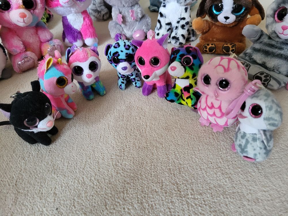 Peluches TY 20 Aulnay-sous-Bois (93)