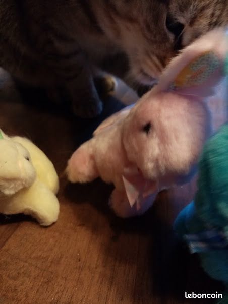 peluches 4 Bonnefamille (38)