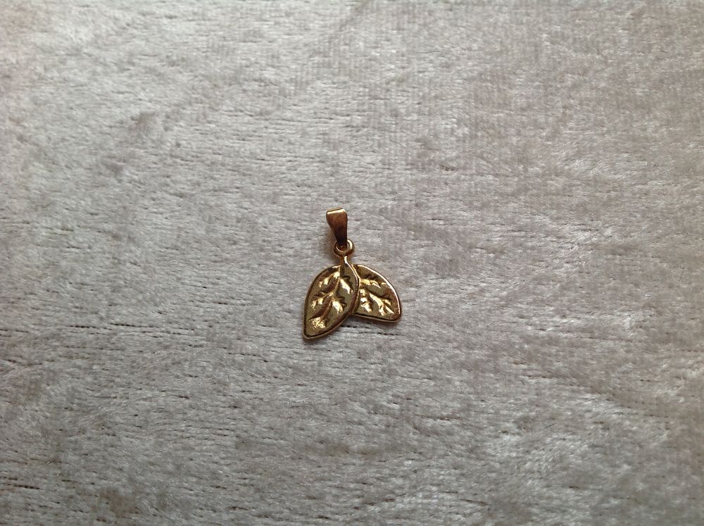 PENDENTIF DUO DE FEUILLES Envoi Possible
2 Tr�gunc (29)