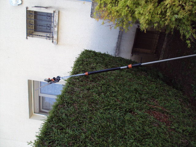 Perche �lagueuse T�lescopique 50 Longwy (54)