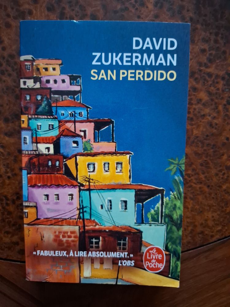 San Perdido - David Zukerman - 2020 - bon �tat 2 La Chapelle-Saint-Luc (10)