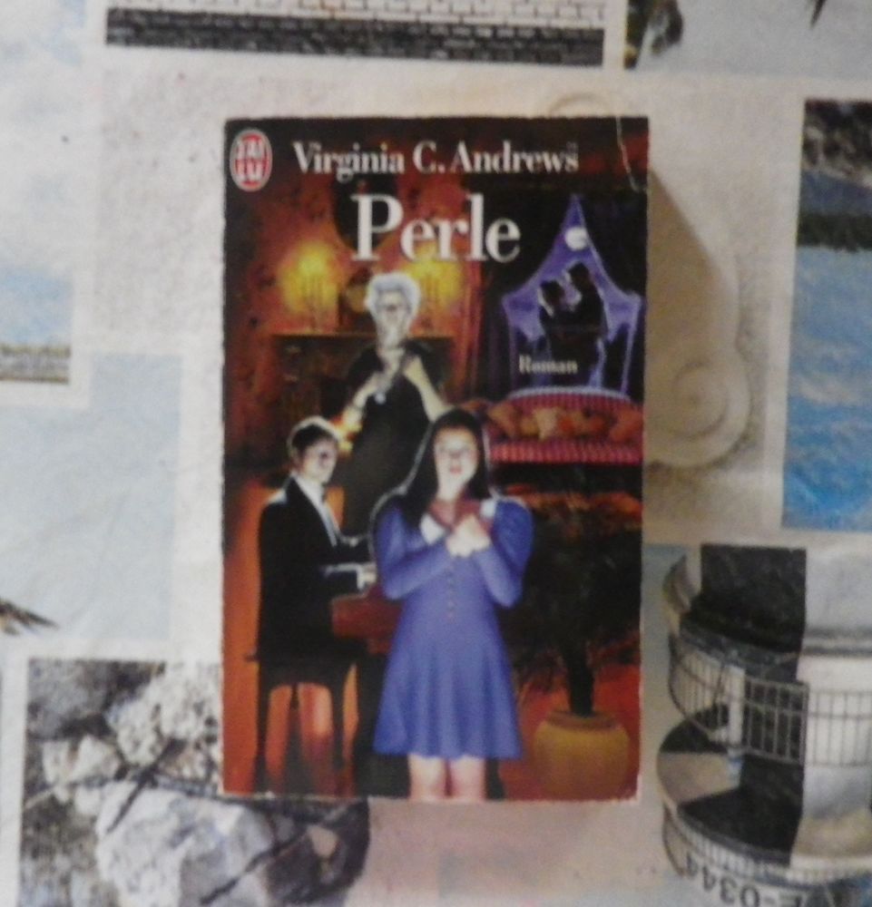 PERLE T2 LA FAMILLE LANDRY de Virginia C. ANDREWS 2 Bubry (56)