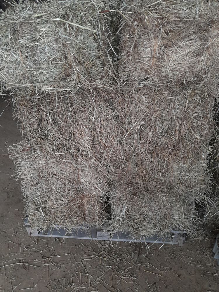 PERMACULTURE 2 Dax (40)