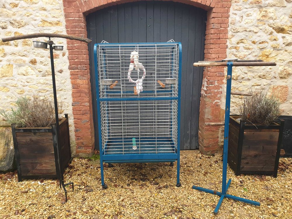Perroquet CAGE 150 Montigny-Lencoup (77)