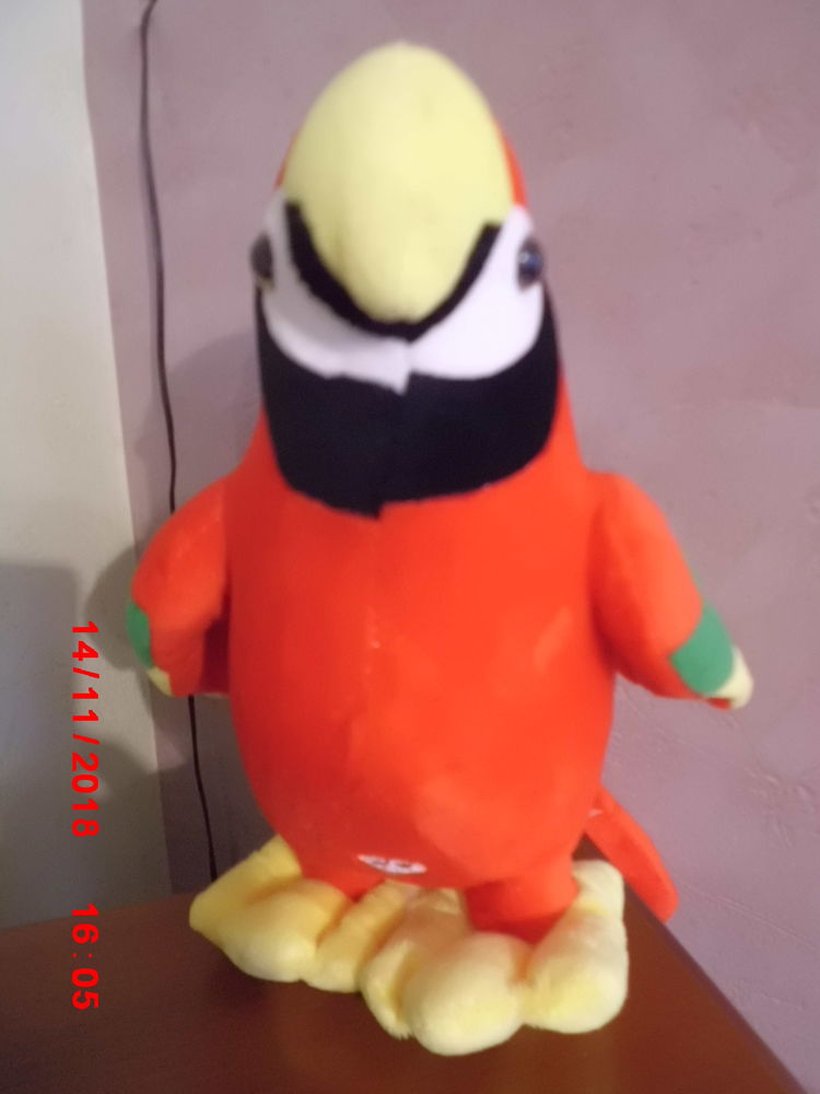 PERROQUET SIFFLEUR AVDA 16 Oignies (62)