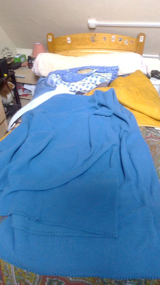 Lit d'une persone 0 Chavannes (18)