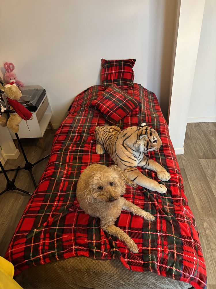 lit d'une personne 90 x 190 0 Villers-Cotter�ts (02)