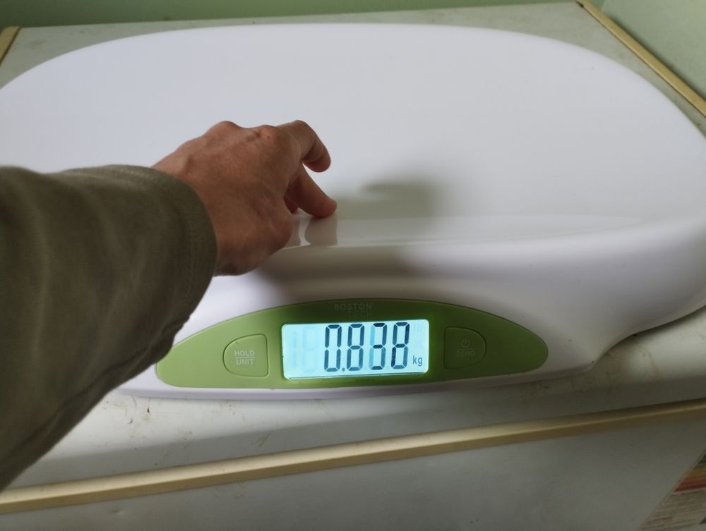 p�se b�b� 50 Loye-sur-Arnon (18)