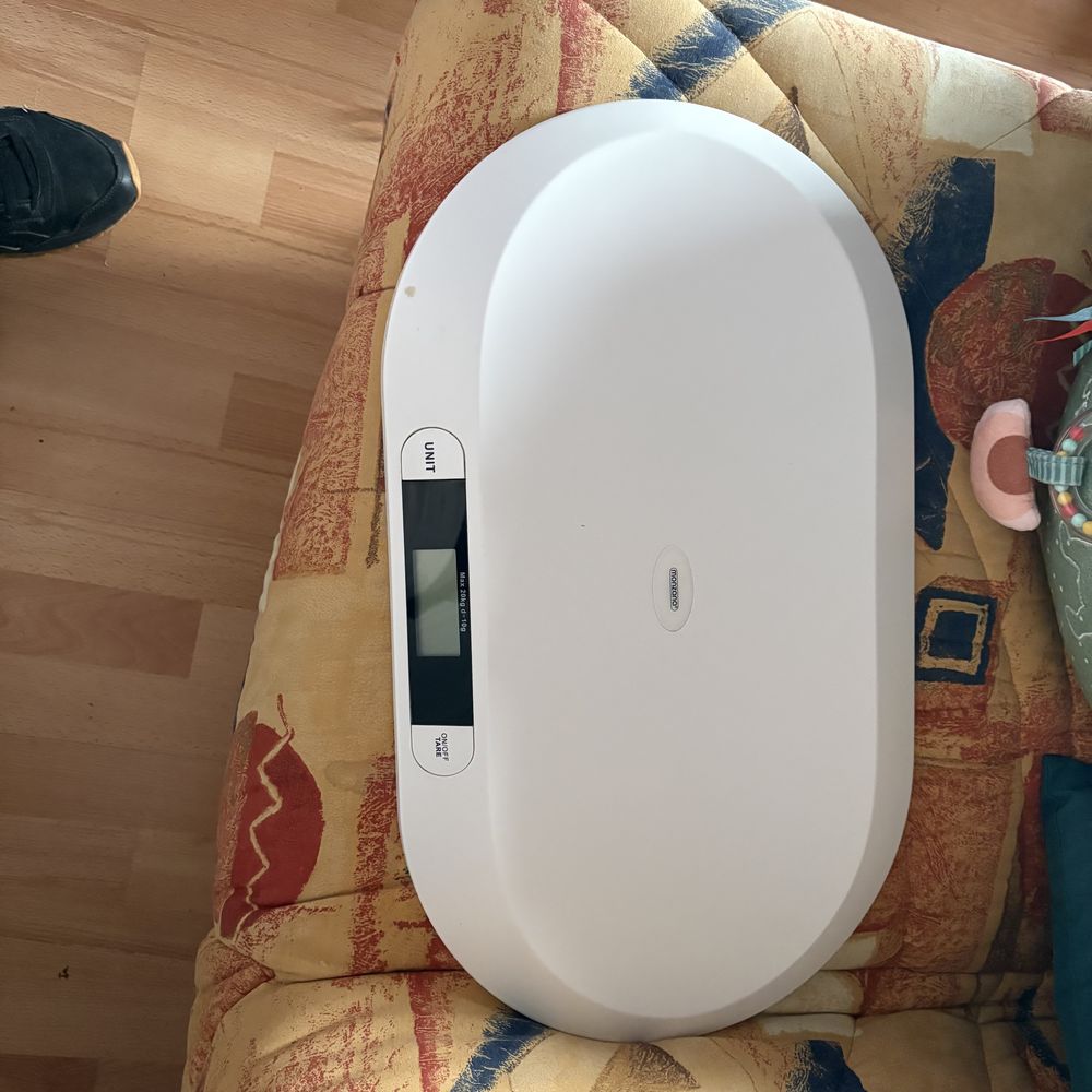 P�se b�b� 15 Villeneuve-sur-Yonne (89)