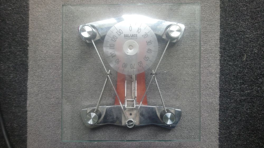 P�se personne 20 La Fert�-Alais (91)