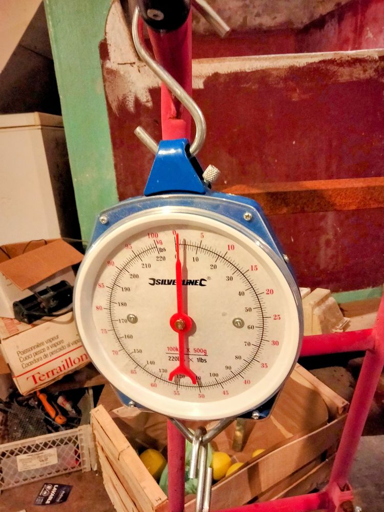 peson dynamom�trique 40 Branne (33)