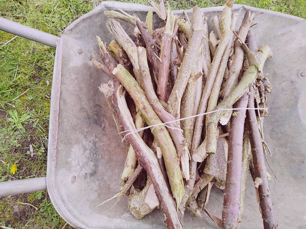 Petit bois d'allumage - branchettes 17 �leu-dit-Leauwette (62)