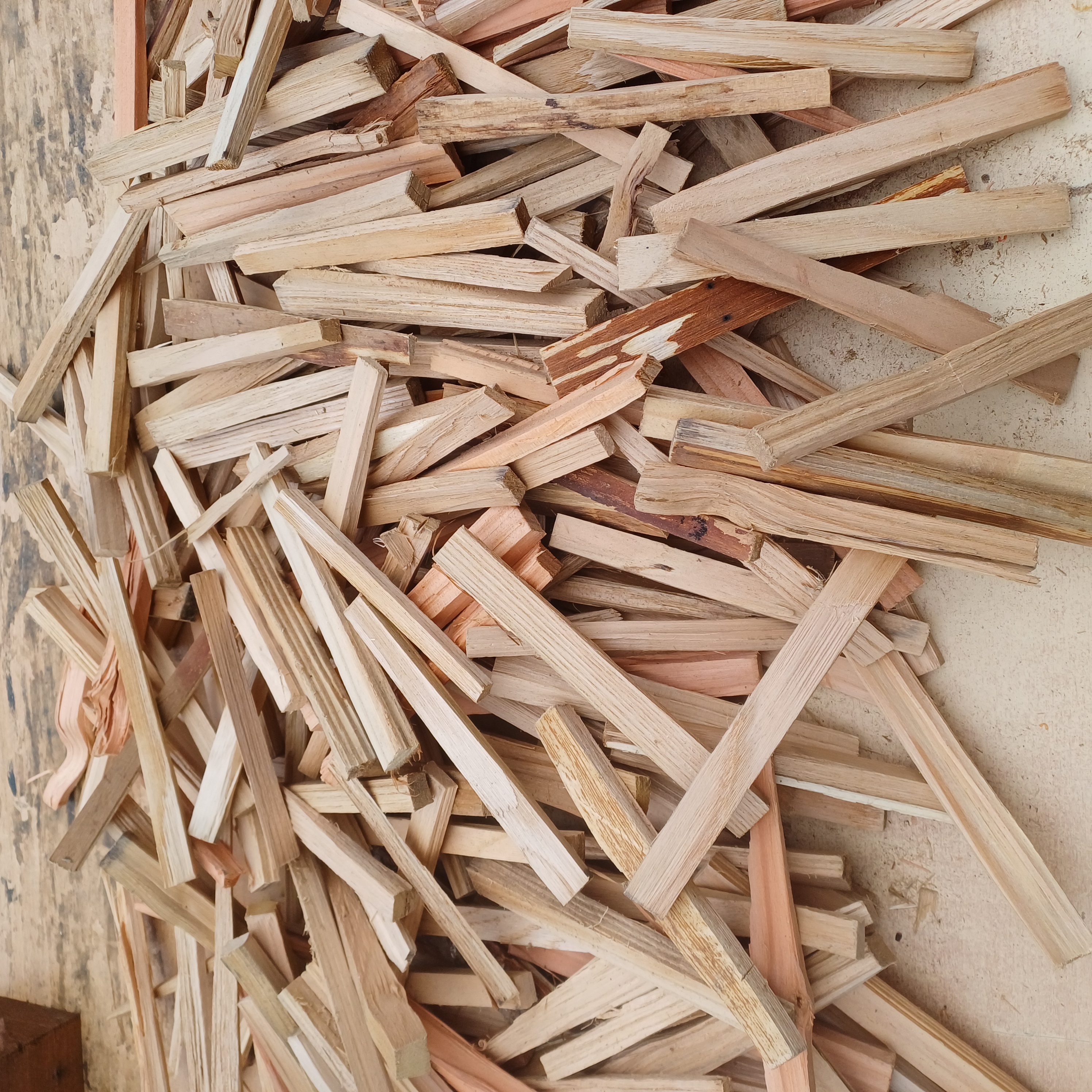 Petit bois d'allumage 6 La Walck (67)