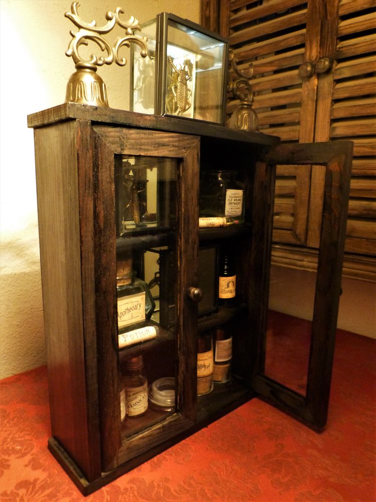 Petit Cabinet de Curiosit�s SCIENTIFIC OFFICE XIX  Steampunk 65 Mont-de-Marsan (40)