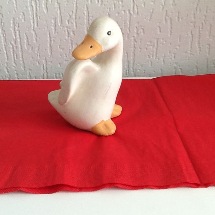 PETIT CANARD 1 Saint-Etienne (42)