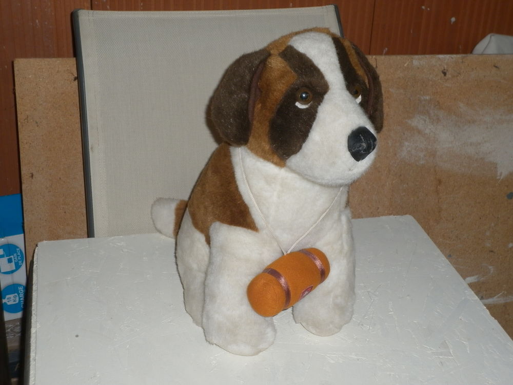 Petit Chien des Montagnes 10 Jard-sur-Mer (85)