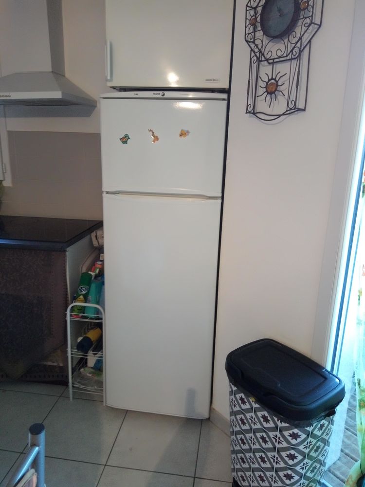 PETIT CONGEL 50 Perpignan (66)