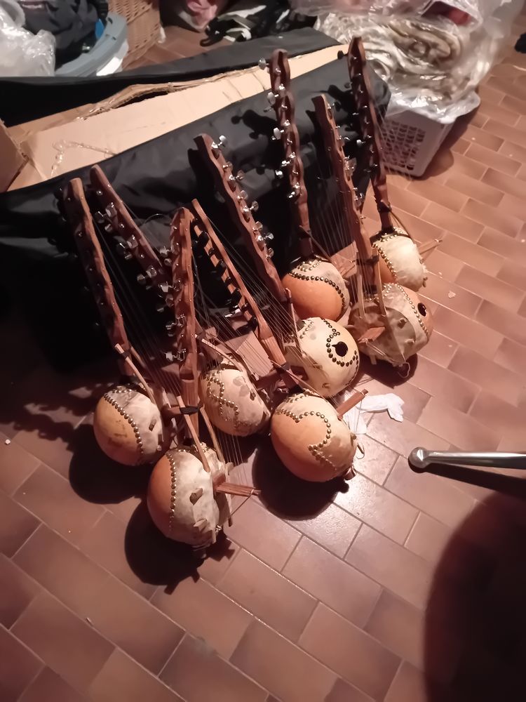 Petit n,goni � 8 cordes 100 Lattes (34)