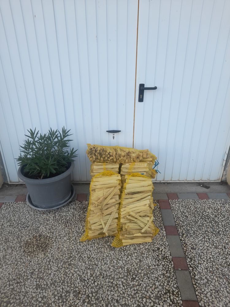 Petite bois d'allumage 3 Chassey-l�s-Scey (70)