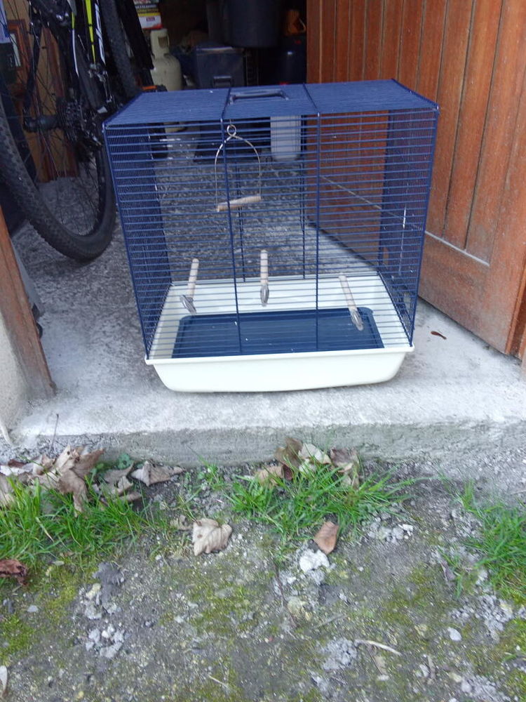 petite cage � Oiseaux 50 Guise (02)
