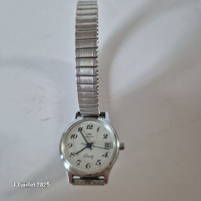 Petite montre femme avec date journali�re, couleur argent, e 15 Saumur (49)