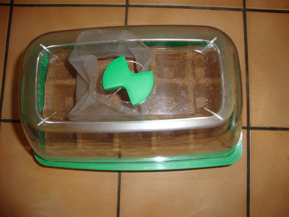 Petite serre avec terreau 10 H�ricourt (70)