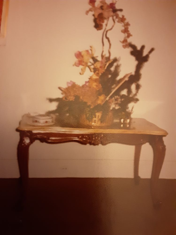 Petite table basse 100 Montpellier (34)