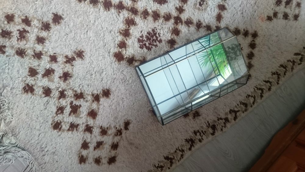 Petite virine murale 35 Saint-Maurice (94)