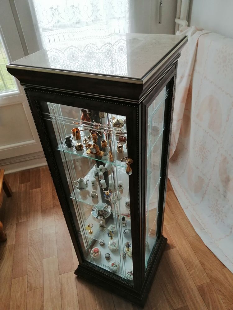 Petite vitrine avec miniatures 50 Bois-Guillaume (76)