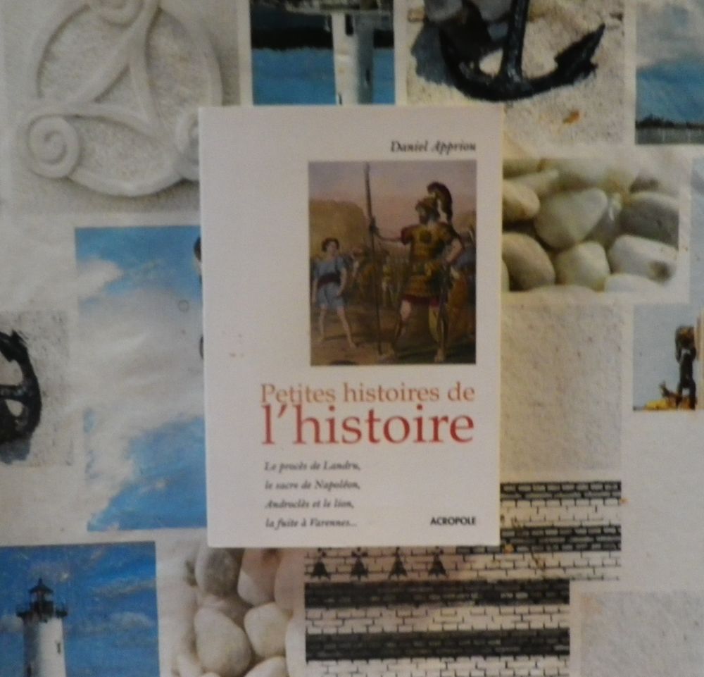 PETITES HISTOIRES DE L'HISTOIRE par Daniel APPRIOU 8 Bubry (56)