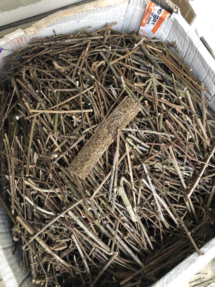 Don de petits bois pour chauffage 0 Poitiers (86)