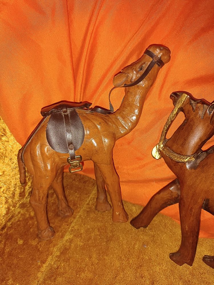 3 petits chameaux 3 Besan�on (25)