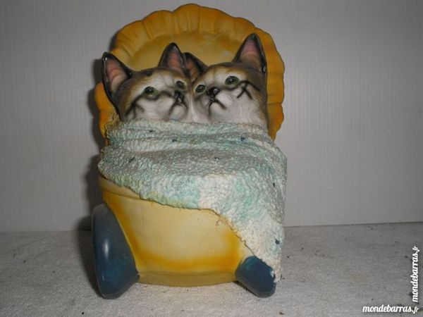 Petits chats dans leur dodo poucette. 10 Le Tremblay-sur-Mauldre (78)