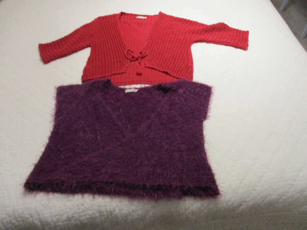 LOT de 2 petits gilets style bol�ro 4 Fl�ac (16)