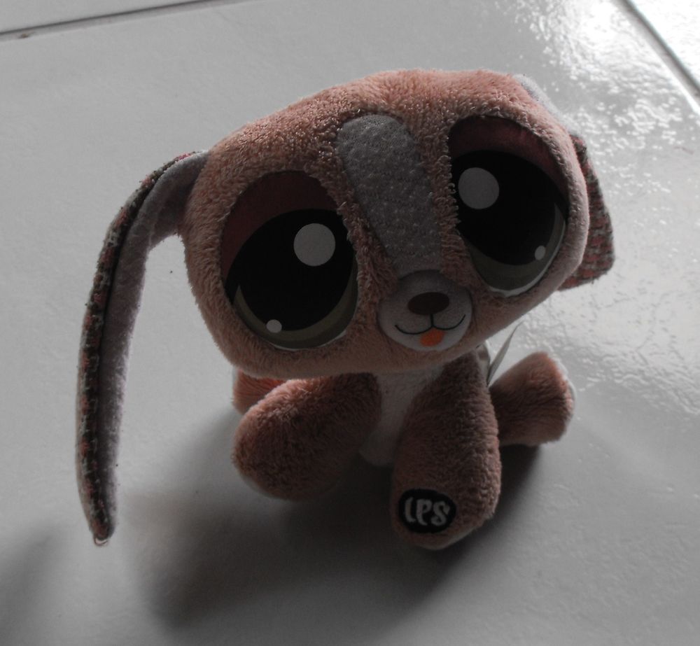 Petshop chien 8 Oloron-Sainte-Marie (64)