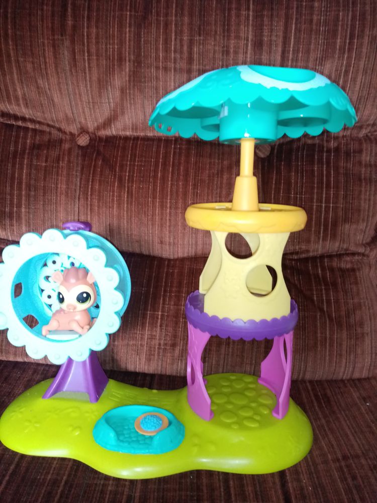 petshop roue hamster + ensemble tooggan 5 Saint-Vallier (71)