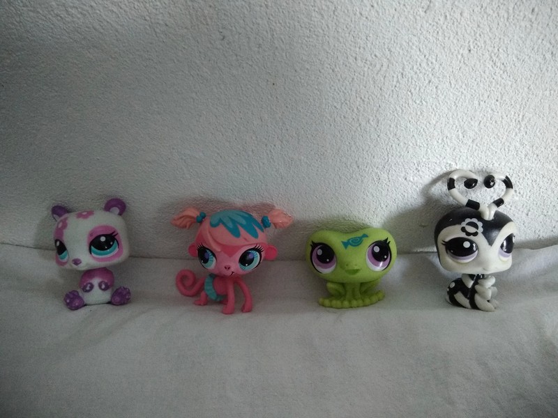 petshop 3 Le Ch�telet-en-Brie (77)