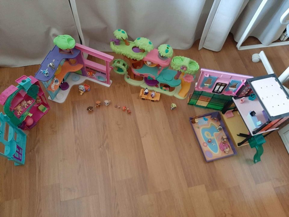 lot petshp 40 Nimes (30)