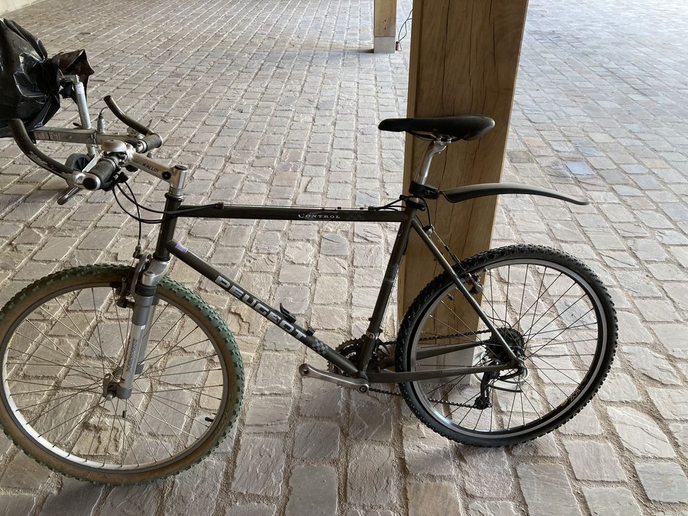 VTT peugeot homme 150 Bayonville-sur-Mad (54)