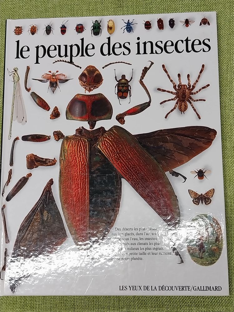 Le peuple des insectes Laurence Alfred Mound 6 Montigny-sur-Avre (28)